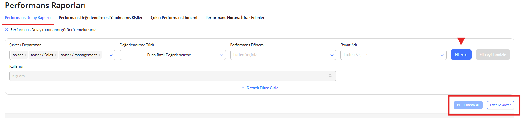 1 performans detay raporu.png