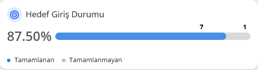 11aaa_hedef_giris_durumu.png