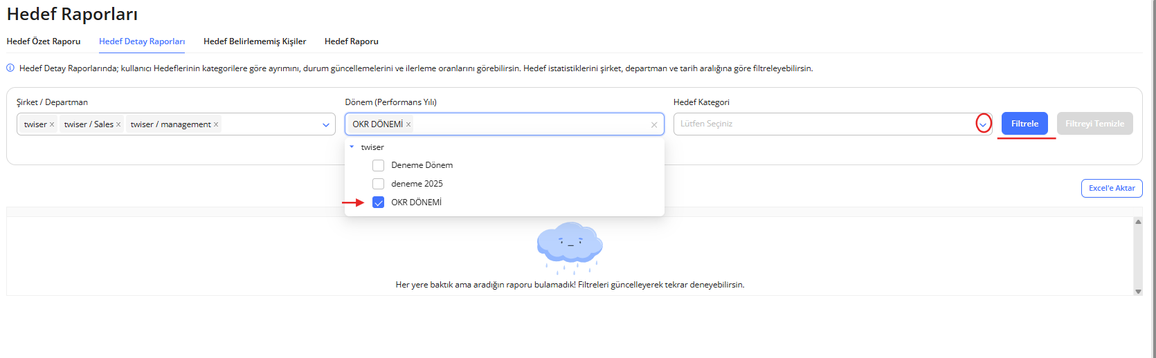 Hedef Detay Raporu 1.png